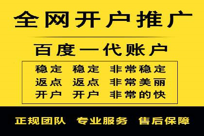 成功案例：如何通过百度推广优化提高转化率